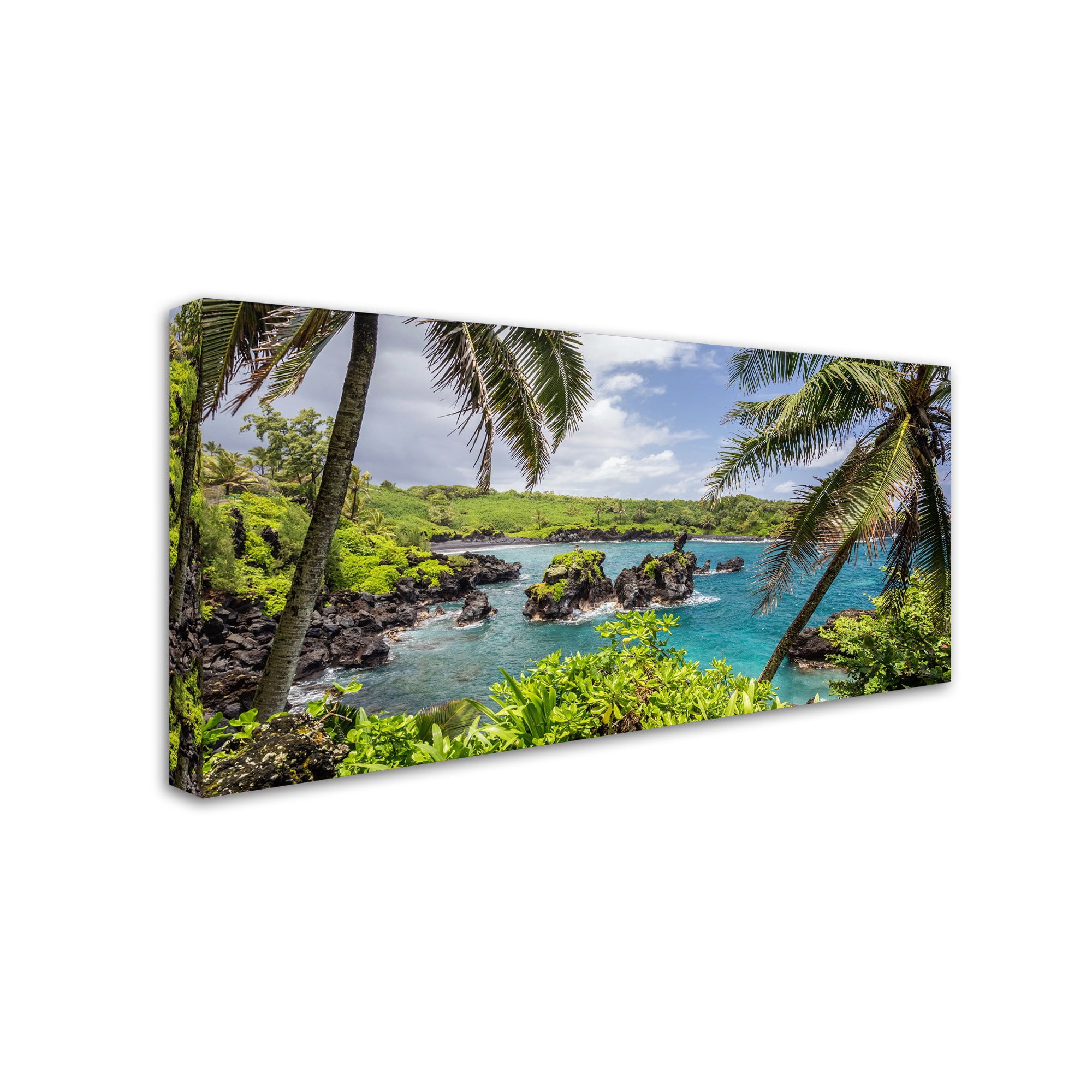 Trademark Fine Art 'Tropical Paradise Maui' Canvas Art by Pierre Leclerc