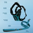 thumbnail image 5 of Voyager Step-In Lock Dog Harness & Reflective Leash Set w/ Neoprene Handle 6ft - For Small to Large Breed Dogs/ Cats, Cute & Heavy-Duty for Walking, Running & Training - Turquoise Black Trim, XXS, 5 of 9
