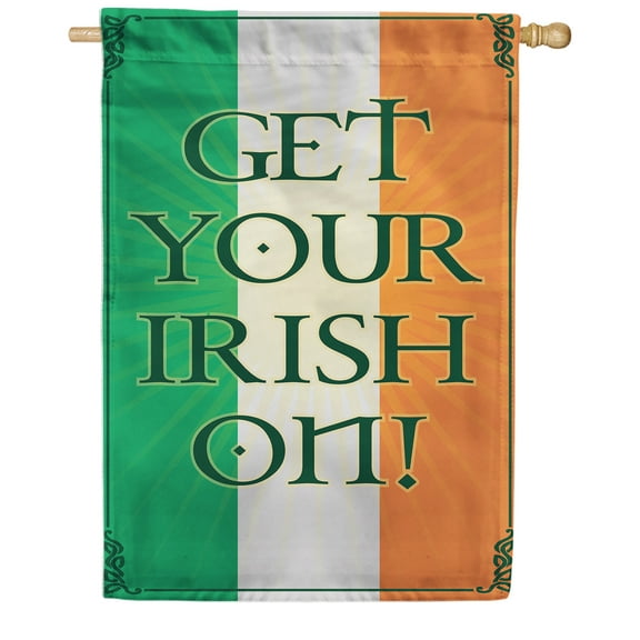 America Forever Get Your Irish On St Patricks Day Decorations Ireland House Flag 28 x 40 Inch Double Sided Seasonal Yard Outdoor National Flag of Ireland Irish Country St. Patrick's Day Flag