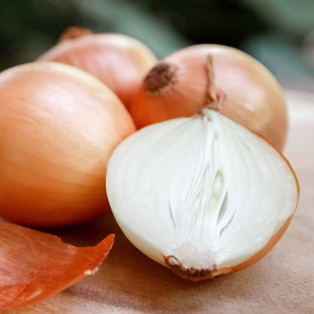 Eden Brothers Onion Seeds (Long Day) - Yellow Sweet Spanish
