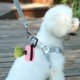 thumbnail image 5 of Dog Poop Bag Dispenser Hangingable Dog Poop Bag Holder Poo Bags Dispenser for Dogs Walking Garbage Bags Dispensers Pet Supplies ShopWise Round, 5 of 11