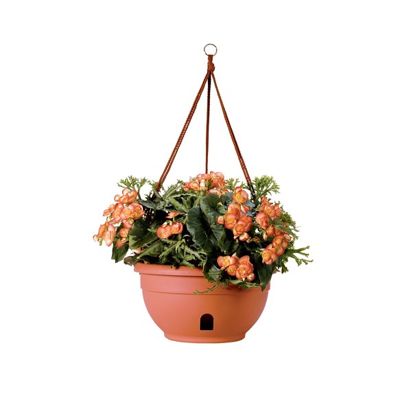 SelfWatering Hanging Basket