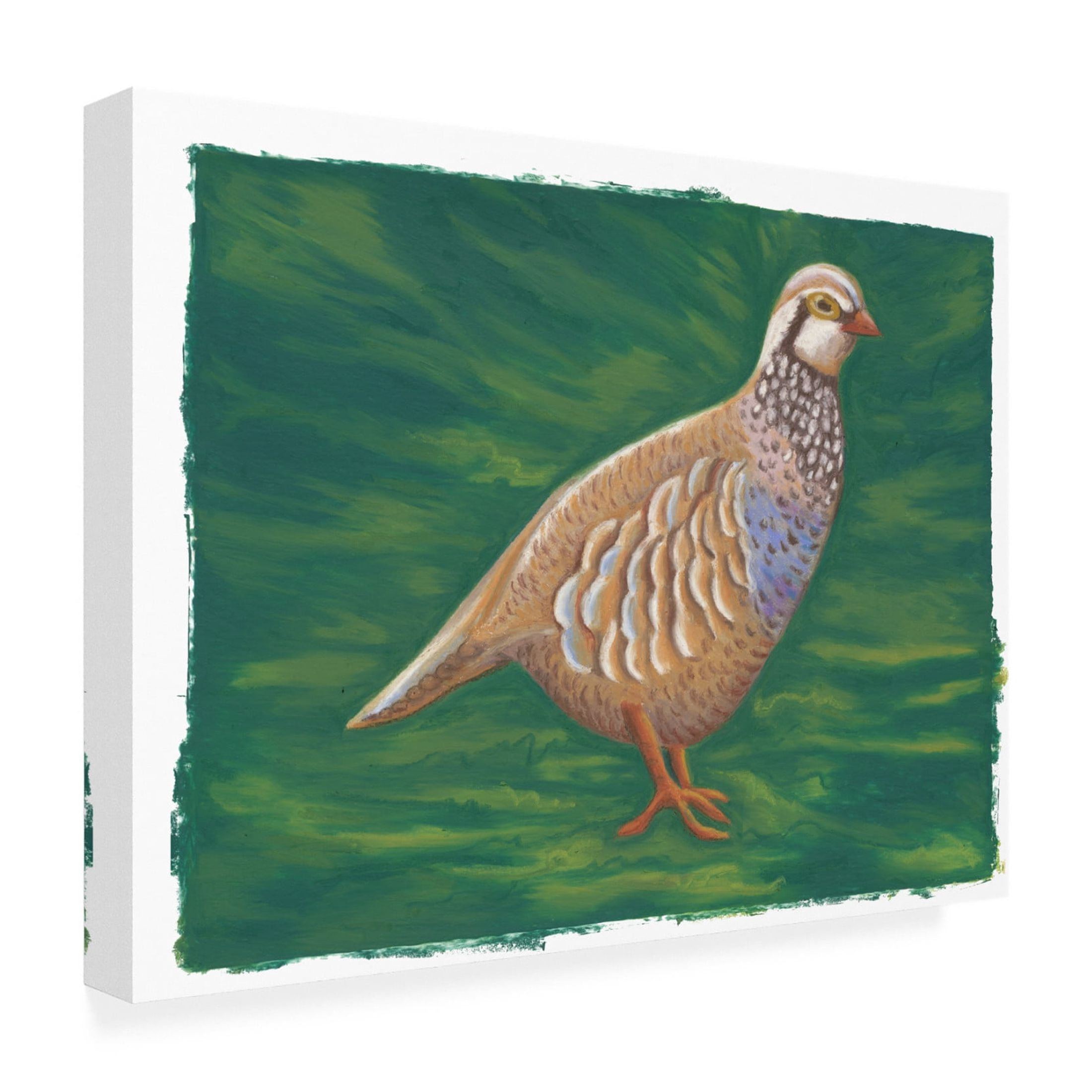 Canvas Wall Art - Andrea Strongwater 'Game Birds Partridge Girl' Wall Art for Living Room, Bedroom, or Office Décor by Trademark Fine Art - 19 x 14 Inches
