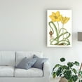 thumbnail image 3 of Trademark Fine Art 'Curtis Tulips VIII' Canvas Art by Curtis, 3 of 3