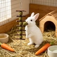 thumbnail image 6 of Pet Rabbits Teeth Grinding Toys, Chew Toys for Rabbits Hamsters Chinchillas, Natural Wooden Chewing Toys, Boredom Relief and Anxiety Reduction, Small Pet Entertainment Multicolor, 6 of 6