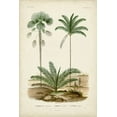 thumbnail image 2 of DOrbigny, M. Charles 13x18 Gold Ornate Wood Framed with Double Matting Museum Art Print Titled - Antique Palm Collection V, 2 of 4