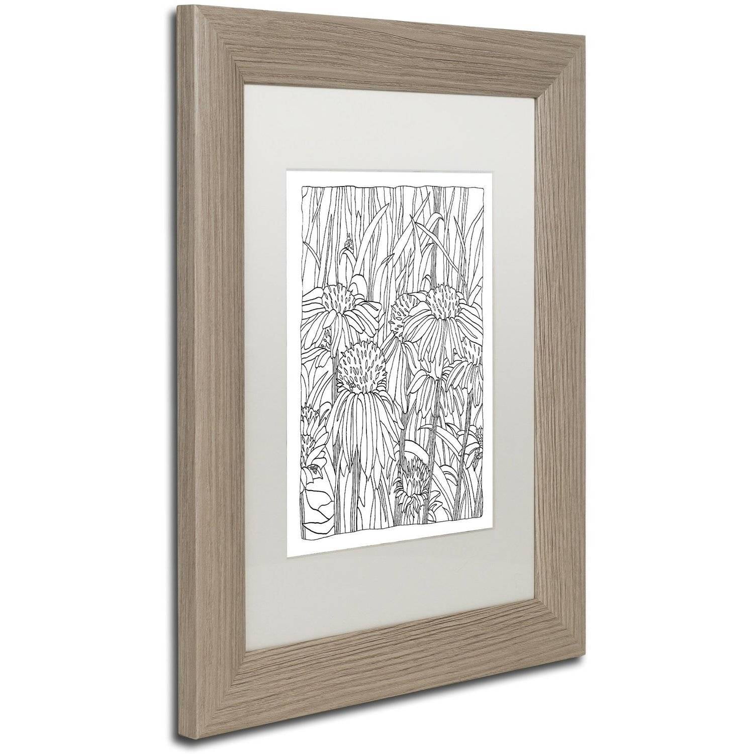 Trademark Fine Art "Echinacea" Canvas Art by Kathy G. Ahrens, White Matte, Birch Frame