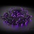 thumbnail image 1 of 300 luces LED para interior, 100 pies, impermeables, con 8 modos para Halloween, Acción de Gracias, Navidad, decoración de jardín, decoración interior y exterior (morado) Ormromra CJWUS-5973, 1 of 5