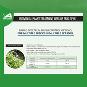 Triclopyr 4EC Herbicide- For Woody Plants & Broadleaf Weeds - 128 fl oz Jug by Alligare