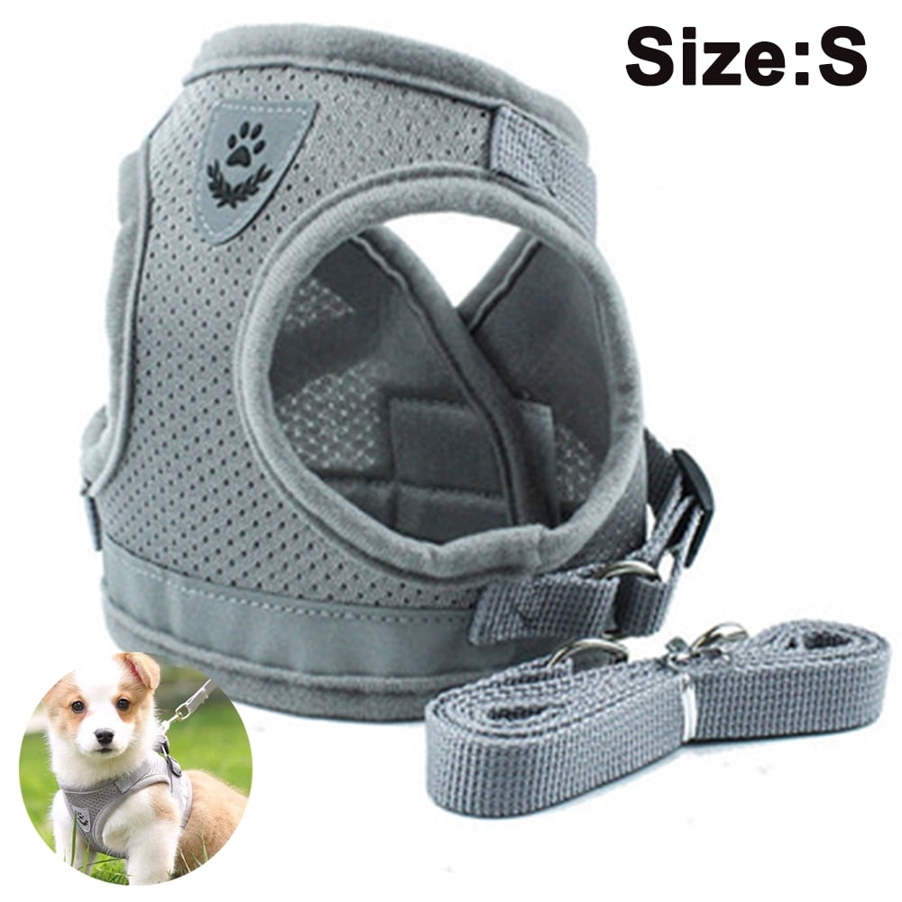how to put on easy dog harness