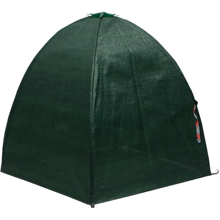 WINTER SHRUB CVR 31 - FRENCH