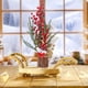 thumbnail image 5 of Puntoco Árbol de Navidad de escritorio Mini árbol de Navidad Decoración de mesa Decoración de ventana del hogar Simulación de árbol pequeño, 5 of 6