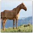 thumbnail image 1 of Picture-Tiles.com: Horse Ceramic Tile Wall Mural WAL500757-66M. 36"W x 36"H using (36) 6" x 6" Ceramic Tiles-Satin Finish, 1 of 3