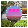 thumbnail image 6 of LED Indoor Plant Light Full Spectrum LED Grow Panel Phyto Lamp for Cultivation Planting Flower ,Designed Specifically for Plants, 6 of 6