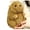 Classic style, variant on Cute Groundhog Plush Toy Stuffed Animal Soft Cozy Pillow Home Decor Gift