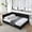 Black, variant on Full Upholstered Daybed with Mid-Century Backrest and Armrest, Velvet Sofa-Style Guest Bed, No Box Spring