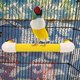 thumbnail image 2 of KAKOWELY juego de varillas para colocar pájaros, perchas para loros, perchas para periquitos, juguetes para jaulas de pájaros., 2 of 4