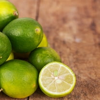 Brighter Blooms - Limequat Citrus Tree, 3-4 ft. - No Shipping to AK, AL, AZ, CA, FL, GA, HI, LA, MS, OR, TX