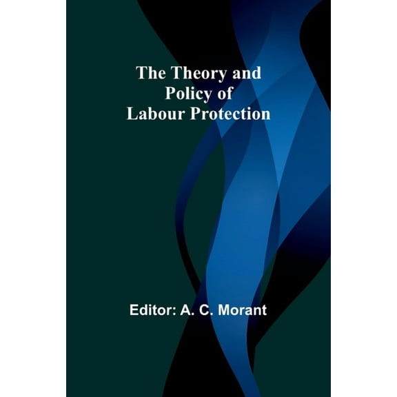 The Theory and Policy of Labour Protection, (Paperback)