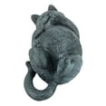 thumbnail image 7 of Design Toscano Playful Cat on Back Statue, 7 of 7