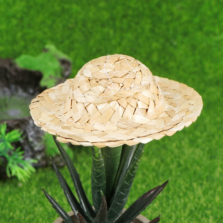 Mini sales straw hats