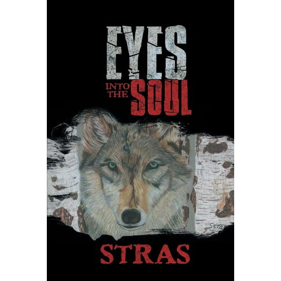 Eyes Into the Soul (Paperback)