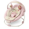 Bright Starts Cradling Bouncer Vintage Garden