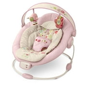 Bright Starts Cradling Bouncer Vintage Garden