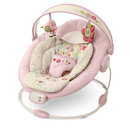 Bright Starts Cradling Bouncer Vintage Garden
