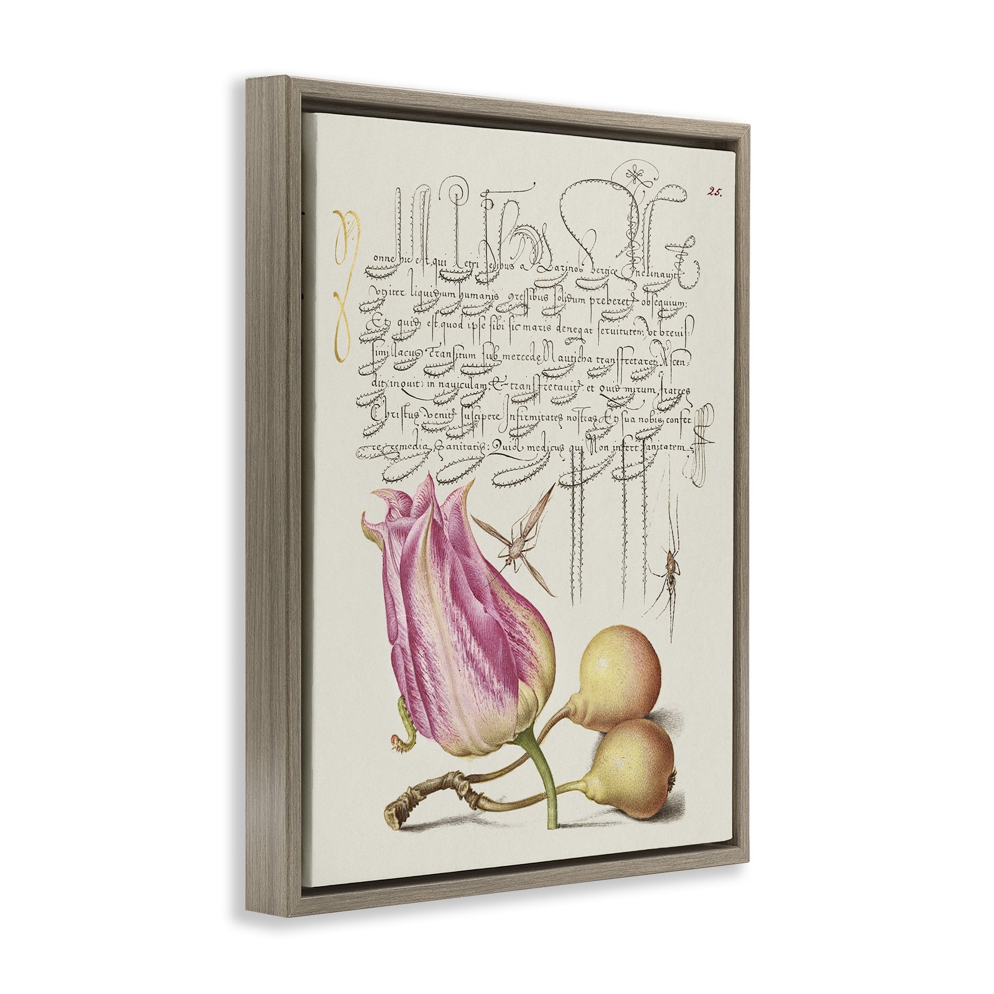Stupell Industries Budding Lily Vintage Page Text & Numbers Painting Brown Floater Framed Canvas Art Print Wall Art, 17 x 21