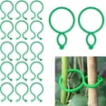 thumbnail image 1 of Hebilla 200 clips verdes en forma de 8 para plantas,correas de sujeción para tomates,enredaderas,clips de soporte para árboles y flores en el jardín. Rkxzt, 1 of 8