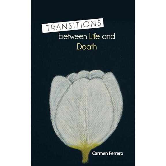 Transitions Between Life and Death (Paperback)