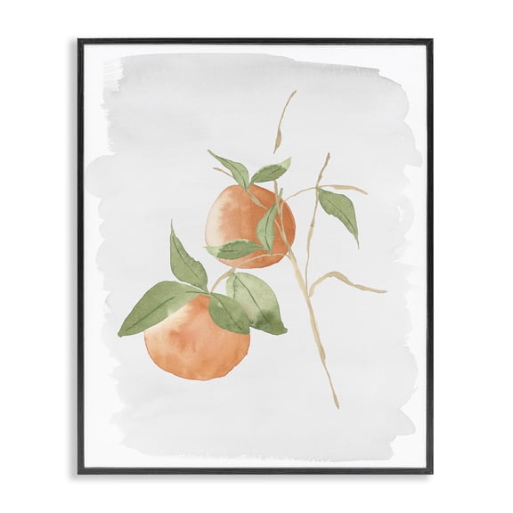 Stupell Industries French Country Orange Branch Fruits Soft Leaves Watercolor Black Framed Giclee Art, 11 x 14, by Lucille Price