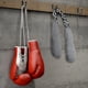 thumbnail image 1 of Tenis Desodorantes para guantes de boxeo Eliminador de olores Desodorantes para guantes para zapatos Bolsas para guantes Wdftyju Tenis De Mujer Tenis De Hombre, 1 of 8