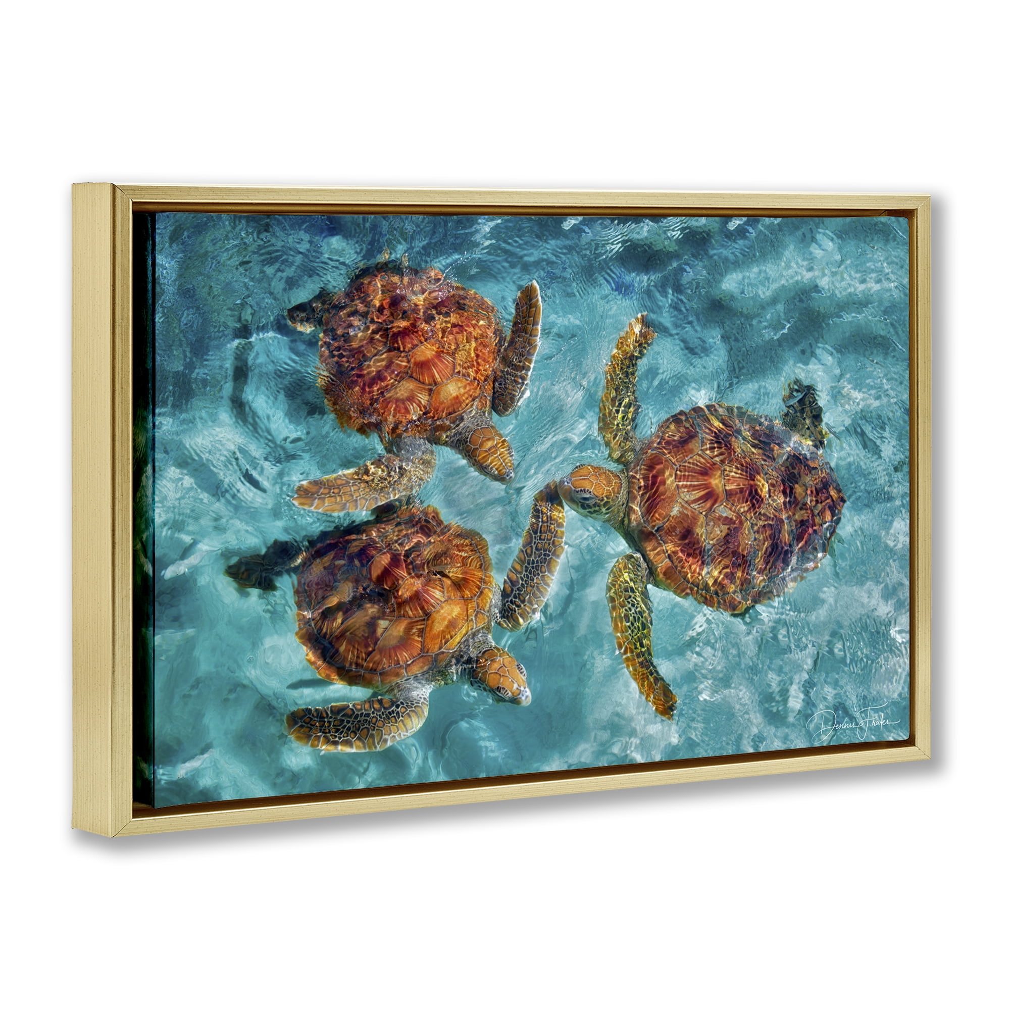 Stupell Industries Swimming Tortoise Trio Animals & Insects Painting Gold Floater Framed Canvas Art Print Wall Art, 25 x 17