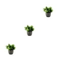 thumbnail image 4 of kurtrusly Realistic Artificial Succulent Low Maintenance Elegant Easy To Clean Artificial Money Tree In Pot new whitebabysbreath 3Set, 4 of 6
