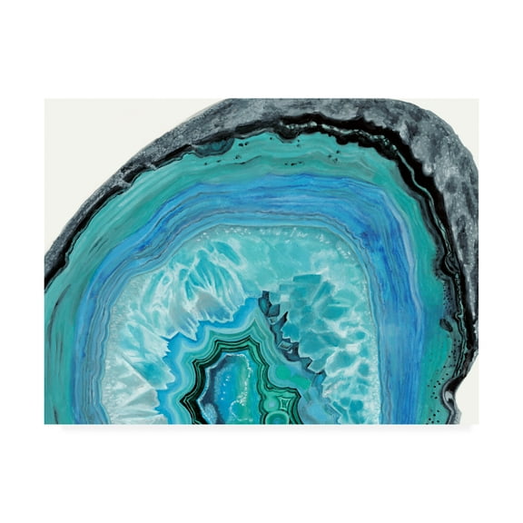 Trademark Fine Art 'Agate Studies II' Canvas Art by Naomi McCavitt