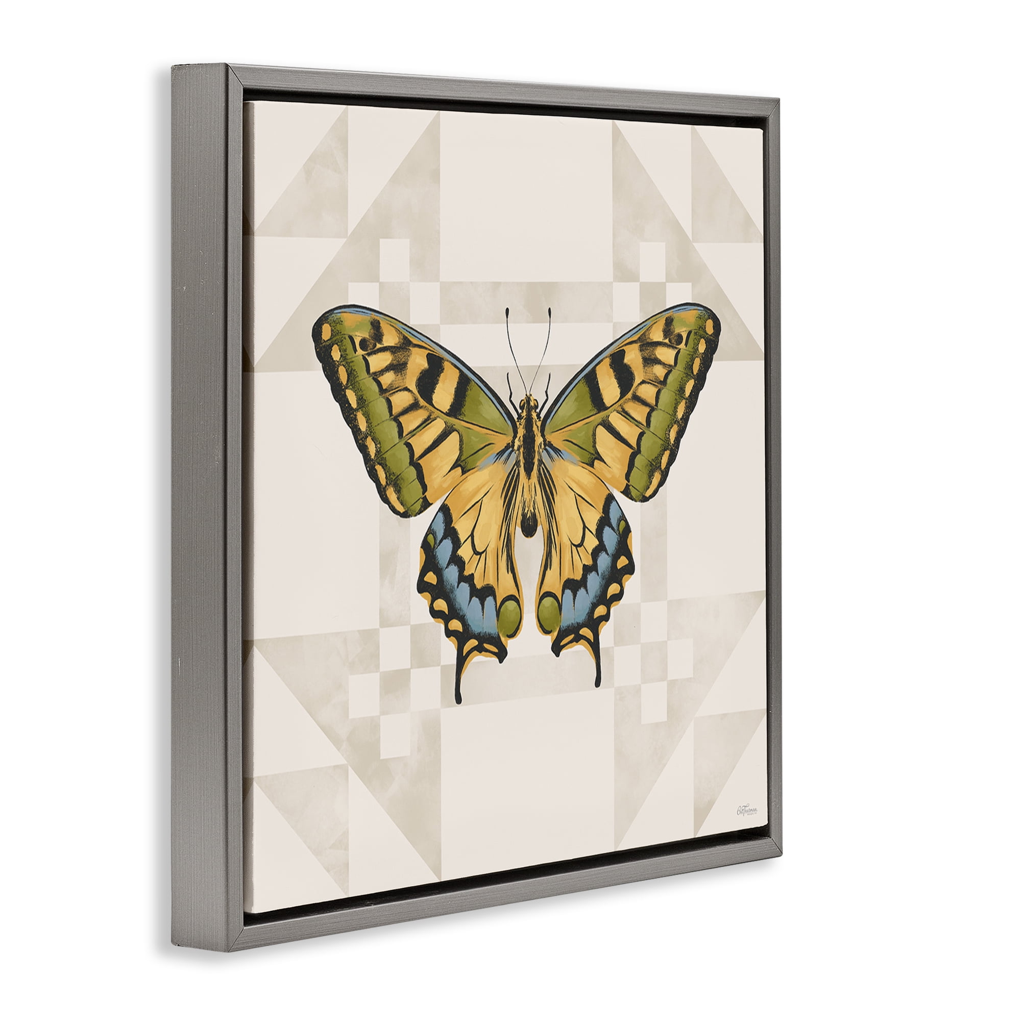 Stupell Industries Green Swallowtail Butterfly Gray Framed Floater Canvas Wall Art, design by Cat Thurman Designs