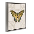 thumbnail image 2 of Stupell Industries Transitional Green Swallowtail Butterfly Gray Floating Frame Canvas Art, 18 x 18, by Cat Thurman Designs, 2 of 8