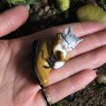 thumbnail image 4 of Adorno de jardín para patio Lindo gato Micro paisaje Adorno 3 piezas Adecuado para decoración de jardín al aire libre (gatito), 4 of 4