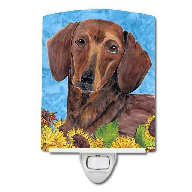 Carolines Treasures SC9072CNL Dachshund in Summer Flowers Ceramic Night Light