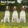 Welsh Springer Spaniel Calendar 2018 - Dog Breed Calendar - Wall Calendar 2017-2018