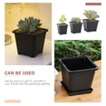 thumbnail image 4 of 6pcs Flower Planting Pots Succulent Plant Pots Plastic Flower Planters Flowerpot Adorns, 4 of 9