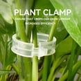 thumbnail image 4 of 100/200/300 st plantstöd clips, plantclips för klätterväxter, ympverktyg upprätt växtväxande återanvändbar (grön/vit) white 300pcs, 4 of 5