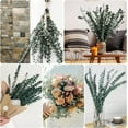 thumbnail image 6 of 30 Pcs Eucalyptus for Shower, Dried Hanging Bundle -17in Real Eucalyptus Stems,100% Natural Leaves Greenery Stems & Aromatic Shower Plant, Home Decor, Party Present, Wedding Gift, 6 of 8