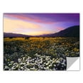 thumbnail image 2 of Dean Uhlinger "Adj Borrego Desert Spring" Removable Wall Art, 2 of 2