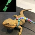 thumbnail image 3 of GHSDFBB Adjustable Lizard Leash Lizard Harnesses Lizard Traction Rope Glow Lizard Leash Bearded Dragon Leash for Small Medium and Large Reptile Amphibians (Green), 3 of 7