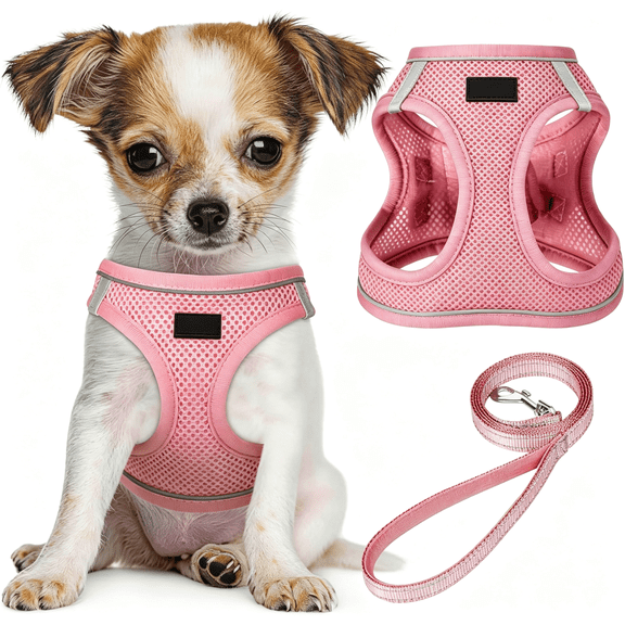 GASTROPOD Dog Harness and Leash Set,No Pull Soft Mesh Pet Harness,Reflective Adjustable Puppy Vest for Small Medium Large Dogs,Cats (Pink,X-Small (Pack of 1)