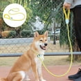 thumbnail image 1 of Flmtop Pet Chain Good Craftsmanship Wear-resistant Nylon Dog One-piece P-type Leash for Outdoor Grey, 1 of 9