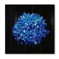 thumbnail image 3 of Designart 'Dew Drops on Blue Aster ' Traditional Print on Natural Pine Wood, 3 of 5